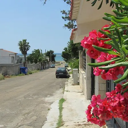 Summersalento *